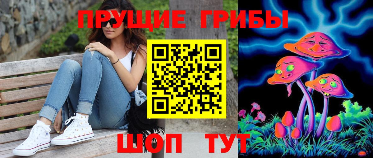 купить закладку  Галлюциногенные грибы GOLDEN TEACHER  Баксан  Вход с VPN  Псилоцибиновые грибы Psilocybine cubensis 
