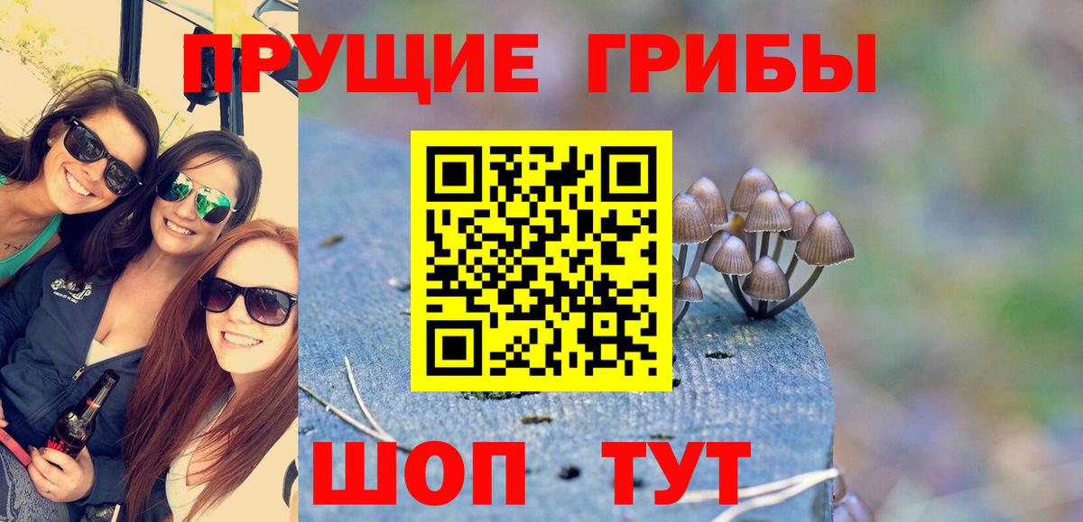 Псилоцибиновые грибы MAGIC MUSHROOMS Баксан